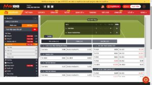 Hình ảnh cá độ tennis May88 2