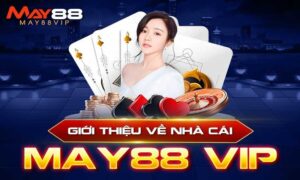 Đôi nét về nhà cái cá cược trực tuyến May88Vip