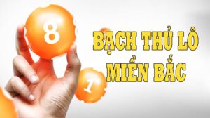 Cách chơi bạch thủ lô tại nhà cái May88 vip