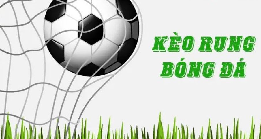 Cách chơi kèo rung tại nhà cái May88 vip dễ dàng
